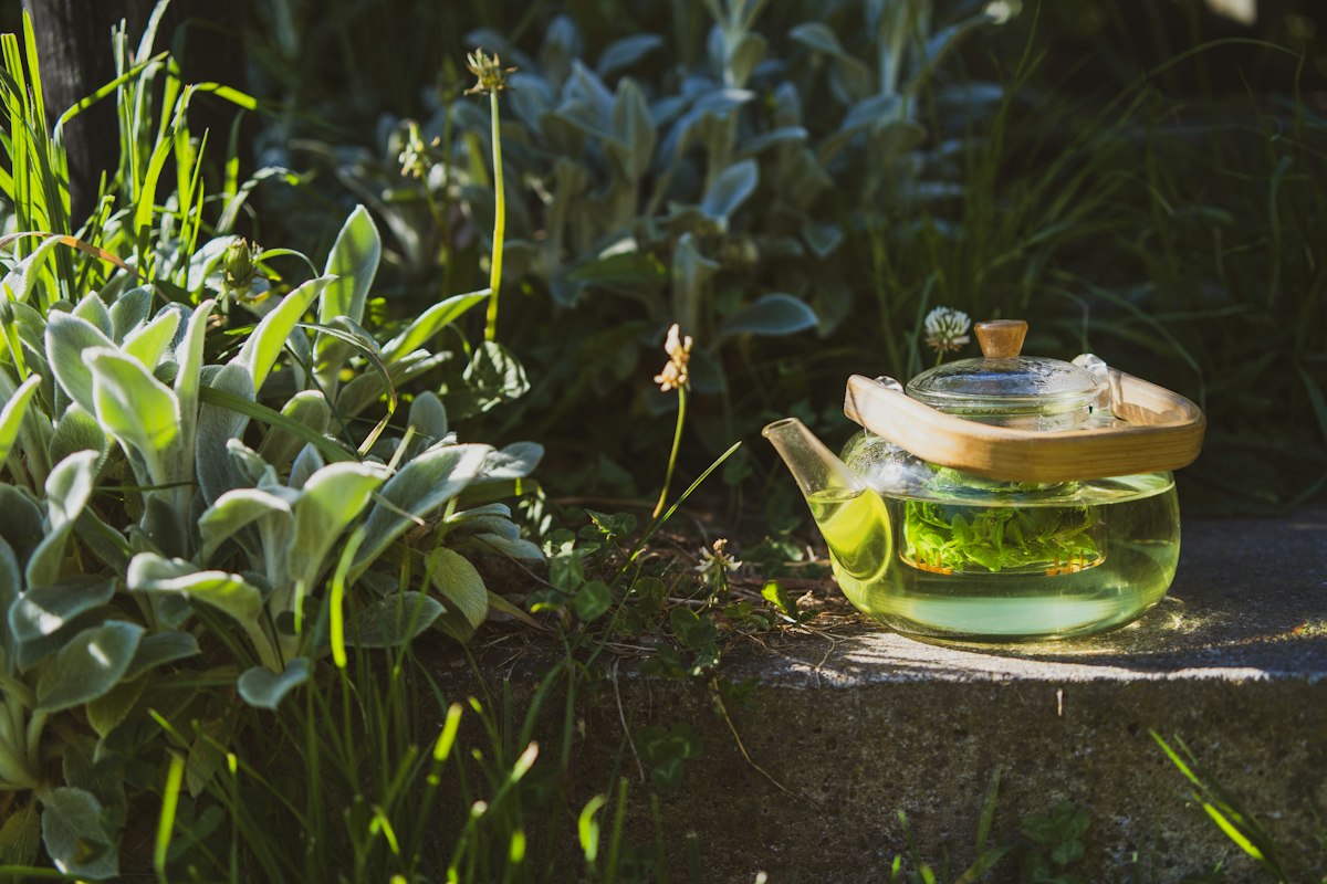 Metabolic health and age management